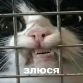 Стикер #12 из набора Другая жизень