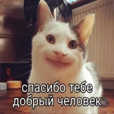 Стикер #8 из набора Новая жизень