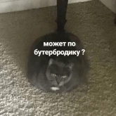 Стикер #12 из набора Новая жизень