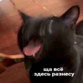 Стикер #9 из набора Новая жизень