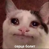 Стикер #6 из набора Новая жизень