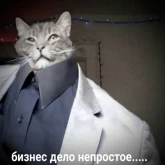 Стикер #4 из набора Новая жизень