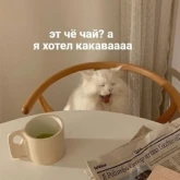 Стикер #7 из набора Новая жизень