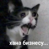 Стикер #10 из набора Новая жизень