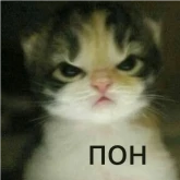 Стикер #3 из набора кшки