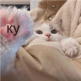 Стикер #7 из набора кшки