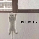 Стикер #8 из набора кшки