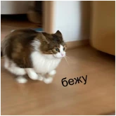 Стикер #6 из набора кшки