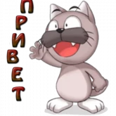 Стикер #2 из набора Кот Ромео
