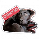 Стикер #4 из набора Livuiton зе бест