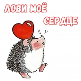 Стикер #8 из набора Влюбленный ежик