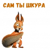 Стикер #9 из набора Заяц, еж и белка