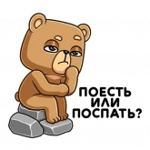Стикер #9 из набора Медведь Женя