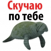 Стикер #9 из набора Мишенька ламантин