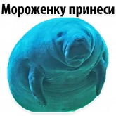 Стикер #4 из набора Мишенька ламантин