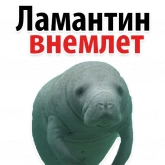 Стикер #3 из набора Мишенька ламантин