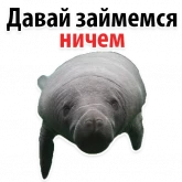Стикер #5 из набора Мишенька ламантин