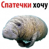 Стикер #6 из набора Мишенька ламантин