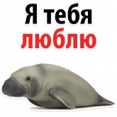 Стикер #8 из набора Мишенька ламантин