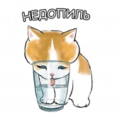 Стикер #7 из набора Котики 4