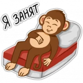 Стикер #3 из набора Обезьяна хочет в колледж