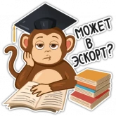 Стикер #2 из набора Обезьяна хочет в колледж