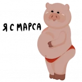 Стикер #8 из набора Мистер Пигус
