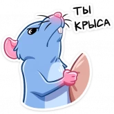 Стикер #5 из набора Мистер Крыс