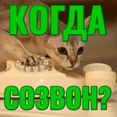 Стикер #2 из набора Моя любимая Кошка