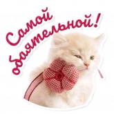 Стикер #5 из набора Милые питомцы 2