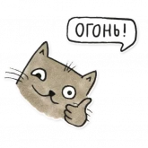 Стикер #12 из набора Олла