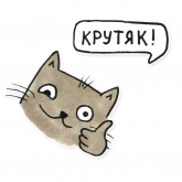 Стикер #11 из набора Олла