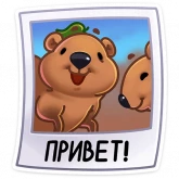 Стикер #3 из набора Ося