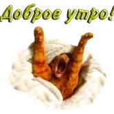 Стикер #9 из набора Добрый вечер, спокойной ночи