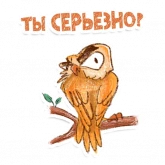 Стикер #8 из набора Сова