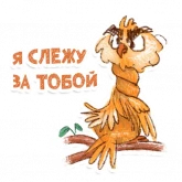 Стикер #12 из набора Сова