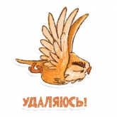 Стикер #9 из набора Сова