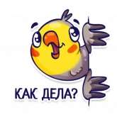 Стикер #2 из набора Попугаи
