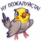 Стикер #4 из набора Попугаи