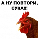 Стикер #5 из набора Петушары