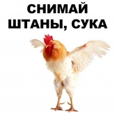 Стикер #7 из набора Петушары