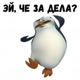 Стикер #10 из набора Пингвин