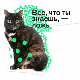 Стикер #2 из набора Позируй псина