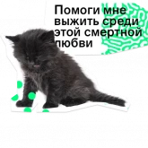 Стикер #11 из набора Позируй псина