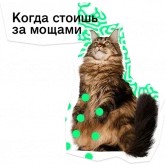 Стикер #10 из набора Позируй псина