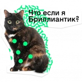Стикер #4 из набора Позируй псина