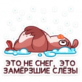 Стикер #5 из набора Птичка