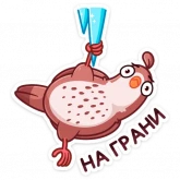 Стикер #11 из набора Птичка