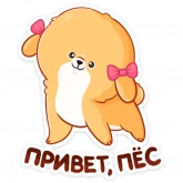 Стикер #2 из набора Рыжий Пудинг