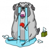 Стикер #8 из набора Pug